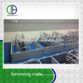 Hot Galvanized Pipe Pig Cage Farrowing Management Swine